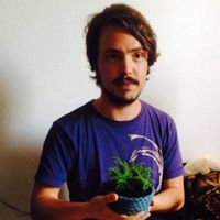 Giorgio Gislon的照片