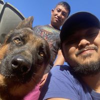 Chris Romano's Photo