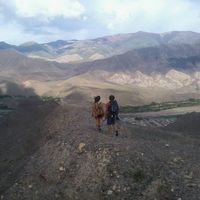 Veronica Nelson的照片