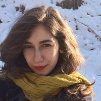 mahsa falsafi的照片