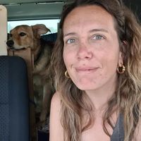 Vale Zanatta的照片