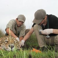 Matias Greco Alonso's Photo