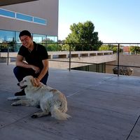 Fotos von João Pinto