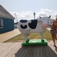 Fotos de Cveta Smilkovich