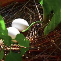 Şeyma Demircik's Photo