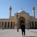 Hitchhiking from Alula to Jeddah's picture