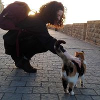 Lisa Sofsky的照片