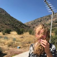 Фотографии пользователя Elli Gorille