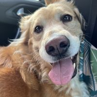 eugenia zanotta's Photo