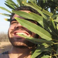 Pedro Farias的照片