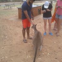 Фотографии пользователя Giovanni Serrapere