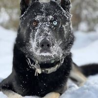 Thomas Johnson的照片