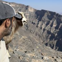 Qatari adventure's Photo