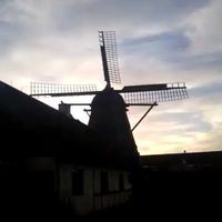 Nicolai Olsen的照片