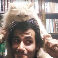 Abdalla Amin的照片