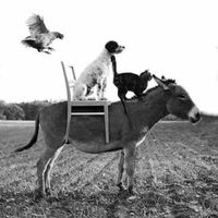 Andrea Papi的照片