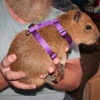 Prachi Bohra's Photo