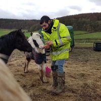 Jose Angel  Montes Márquez的照片