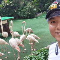 Cho sung cheon的照片