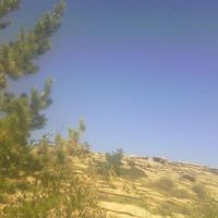 Алмаз Омаров的照片