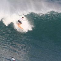 Miles Macleod的照片