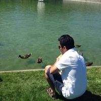 Ali Alhawwas的照片