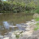 River swimming 's picture