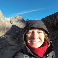 Sarah Harvey's Photo