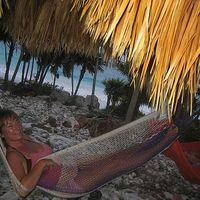 Marion Bevington的照片