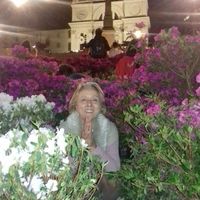 Anna Semeraro's Photo