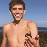 Fotos de Dalton puffer