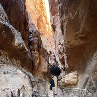 Yasmine Abdullah's Photo