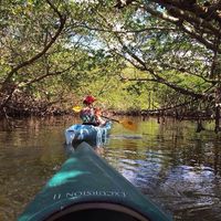 Mackenzie Battista's Photo