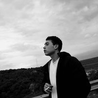 David Ferrer的照片