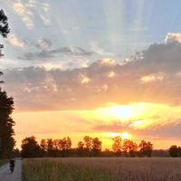 Leila Karches的照片