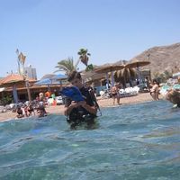 Teddy Freedman's Photo