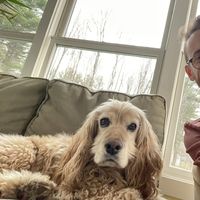 Nathan Dines的照片