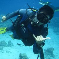 Hossam Harb的照片