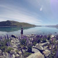 josephine Schumann's Photo