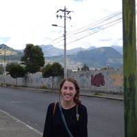 Allison Hutchins的照片