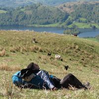 Photos de amit Kupfer