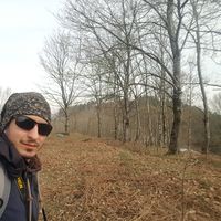 Ali Hosseini's Photo