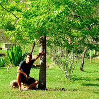 Jonas Batista的照片