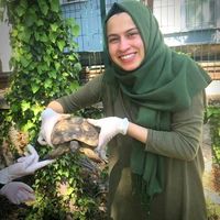 Photos de Sümeyye Kapusuz