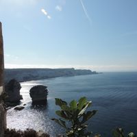 Candice GAUBE's Photo