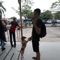 Stefano Bisello's Photo