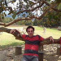 Ariel Koren的照片