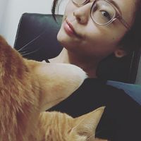 Chang Wei Ping aka Stella Wi的照片