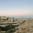 Bilder von Petra Run 7k - Wadi Musa