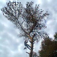 Luca la Rocca's Photo